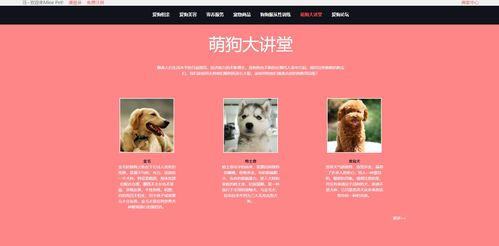 寵物狗個(gè)性化服務(wù)網(wǎng)站前端設(shè)計(jì) —— 基于HTML5與DIV+CSS的靜態(tài)網(wǎng)頁實(shí)現(xiàn)